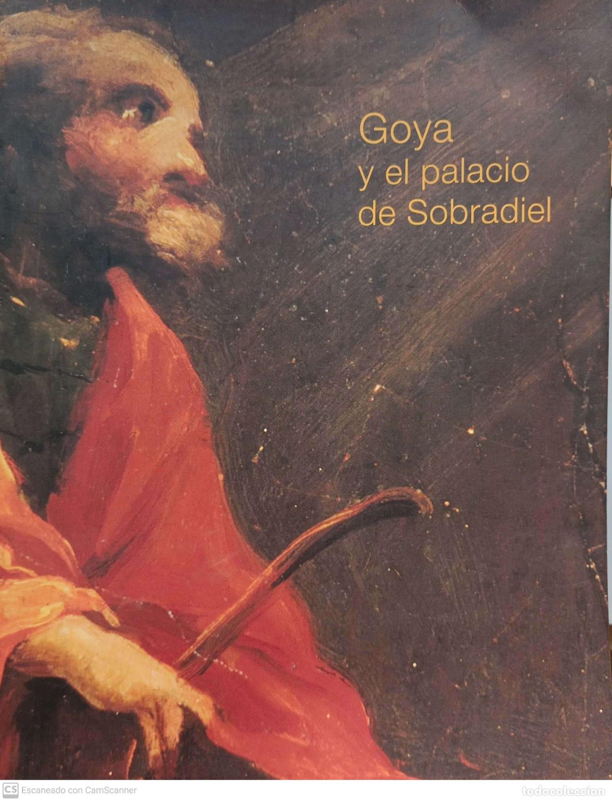 Libros: Goya y el palacio de Sobradiel - Foto 1