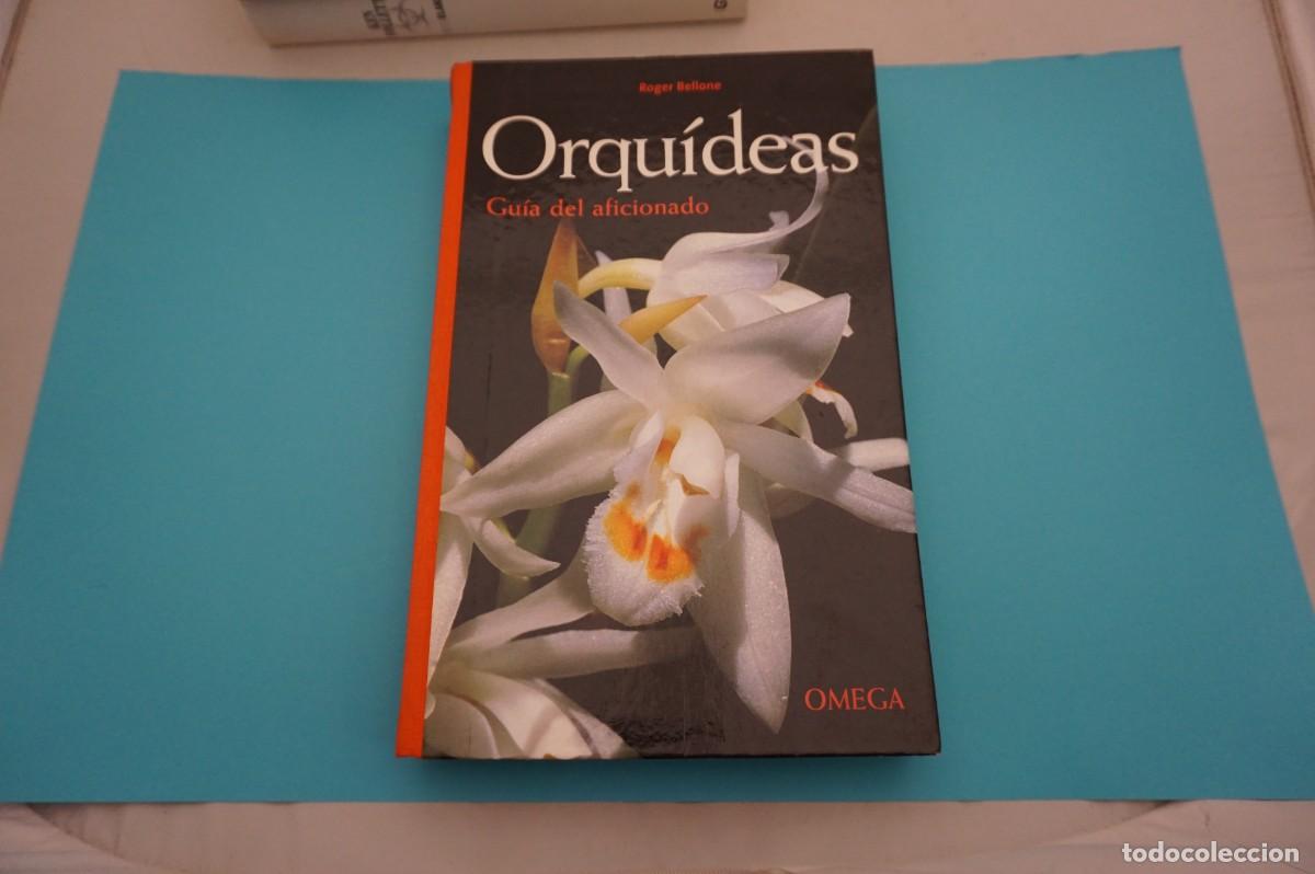 Libros: 21E/ ORQUIDEAS - GUIA DEL AFICIONADO - ROGER BELLONE / EDICIONES OMEGA - Foto 1