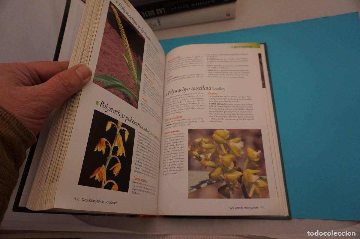 Libros: 21E/ ORQUIDEAS - GUIA DEL AFICIONADO - ROGER BELLONE / EDICIONES OMEGA - Foto 3