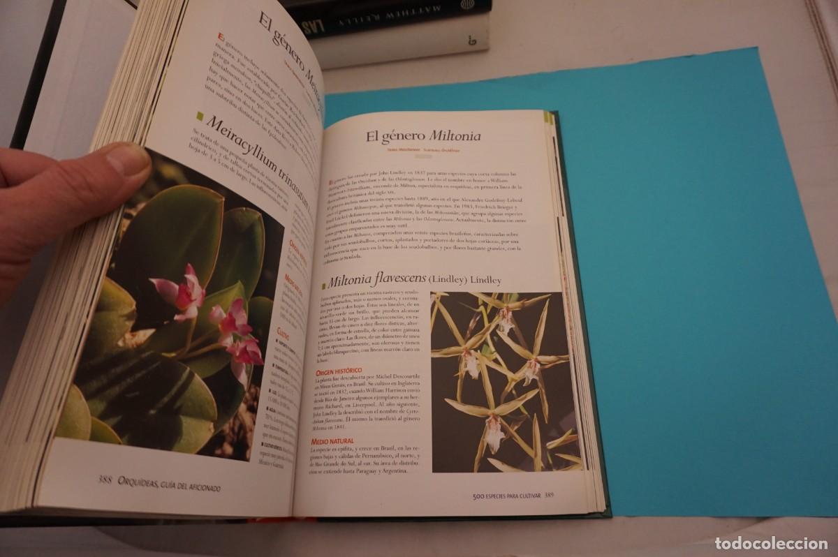 Libros: 21E/ ORQUIDEAS - GUIA DEL AFICIONADO - ROGER BELLONE / EDICIONES OMEGA - Foto 4