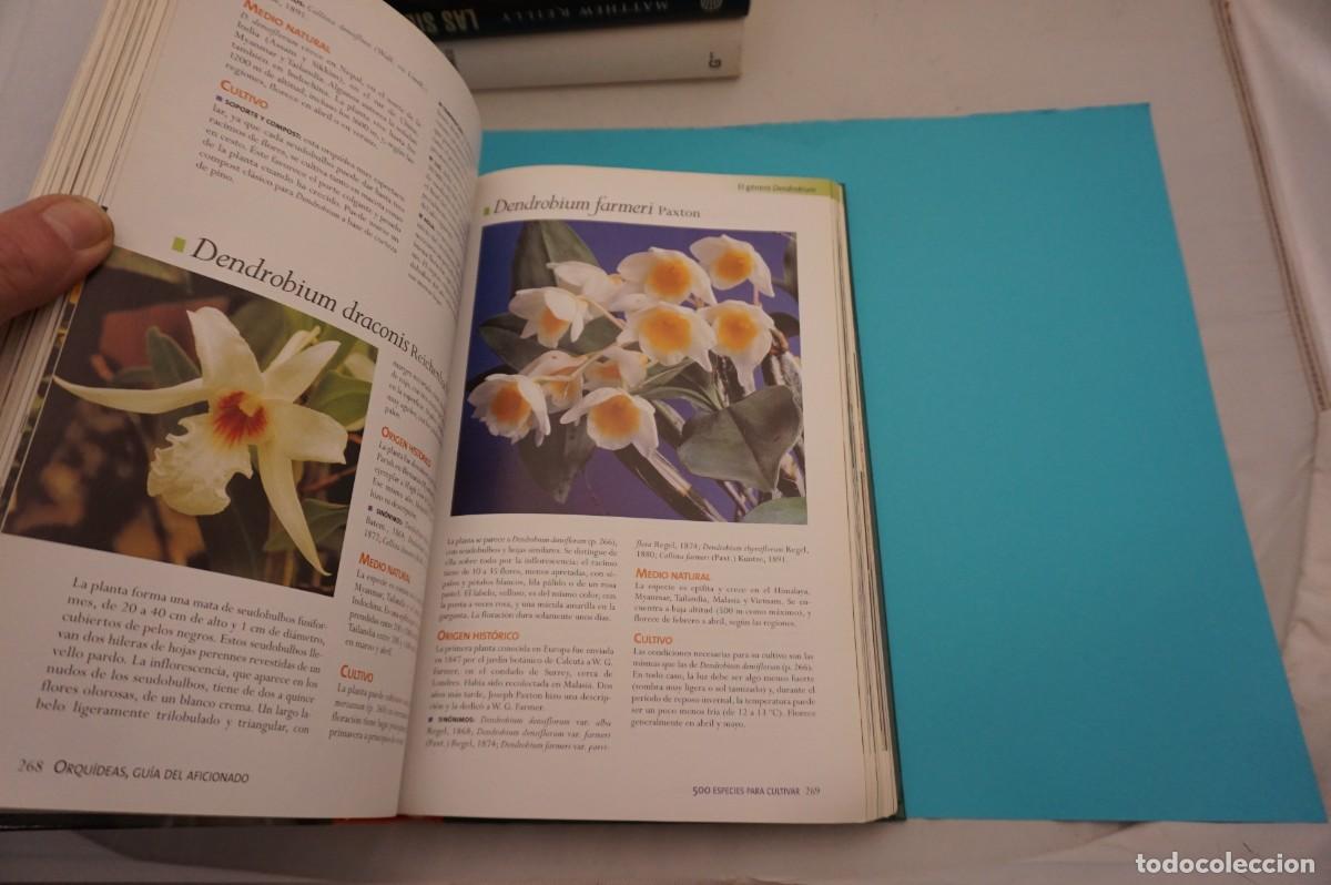 Libros: 21E/ ORQUIDEAS - GUIA DEL AFICIONADO - ROGER BELLONE / EDICIONES OMEGA - Foto 5