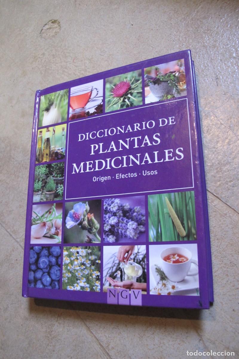 Libros: DICCIONARIO DE PLANTAS MEDICINALES. ORIGEN. EFECTOS. USOS - Foto 1