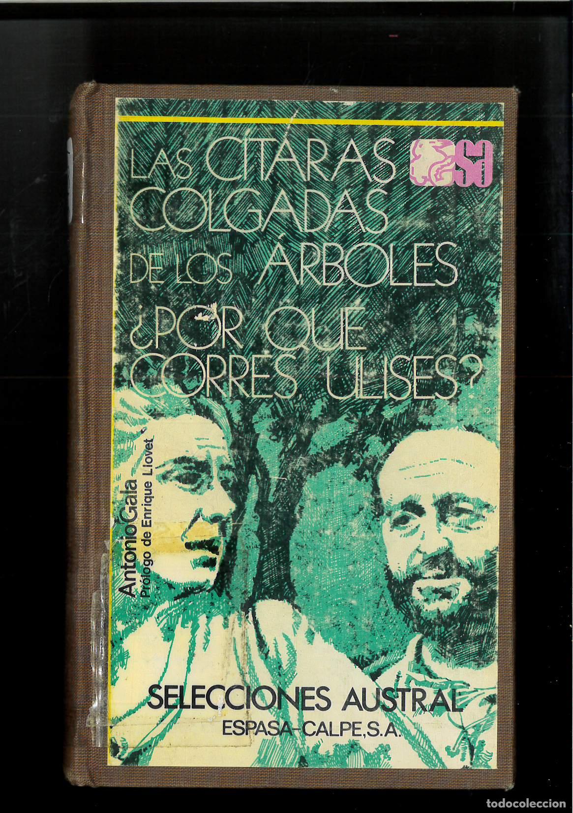 Libros: Las citaras colgadas de los arboles - Gala, Antonio - Foto 1
