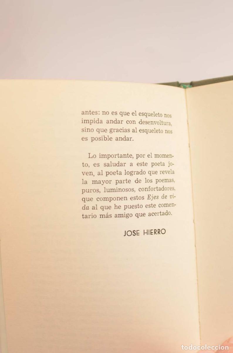 Libros: Ejes de vida. Poemas Oto&ntilde;o 1969 - MU&Ntilde;OZ HIDALGO, Manuel - Foto 7