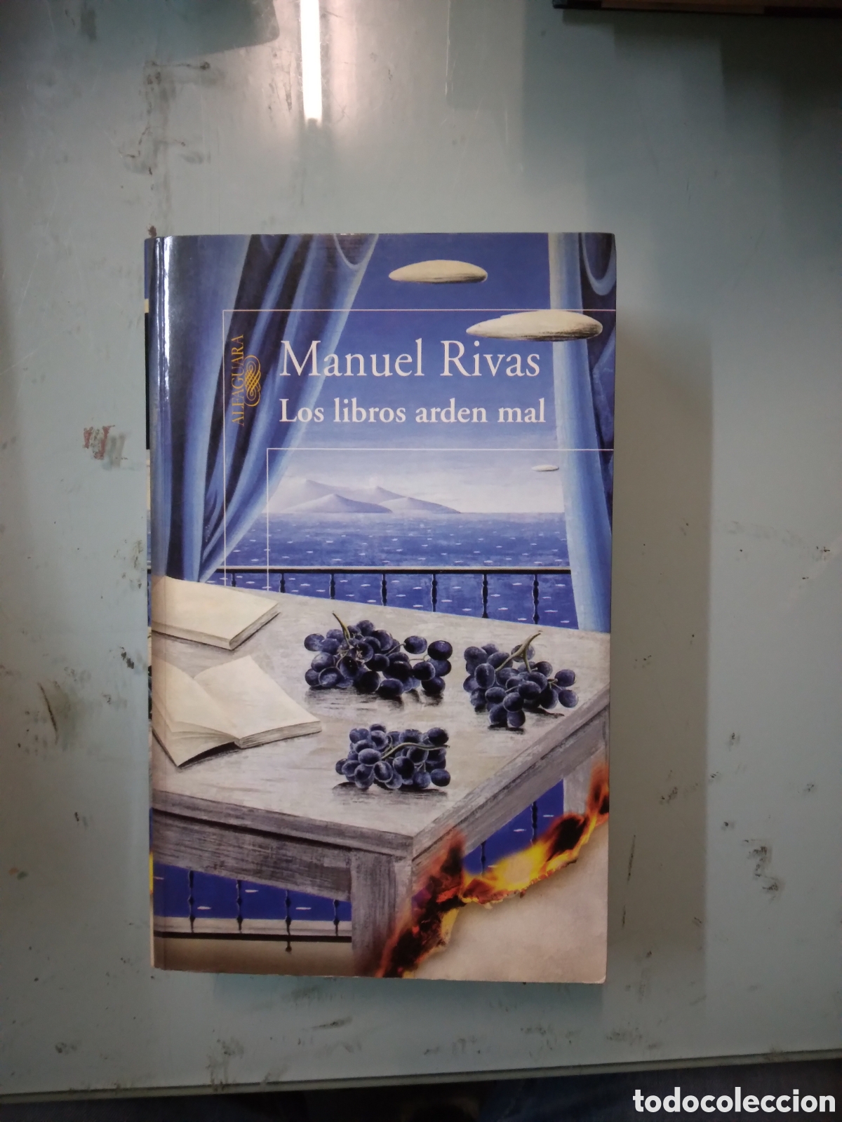 Libros: Manuel Rivas , Los libros arden mal, Alfaguara - Foto 1