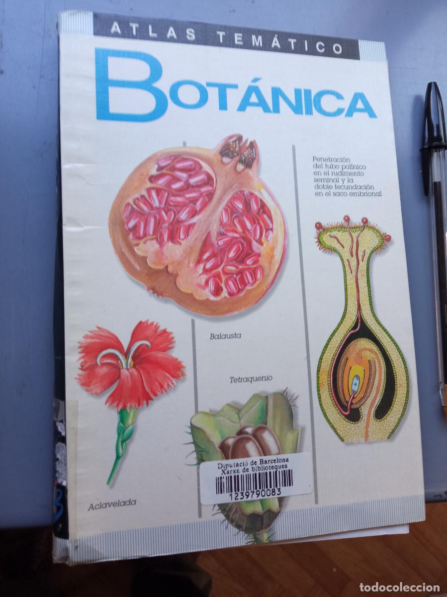 Libros: J.M. Thomas-Dom&eacute;nech - Atlas tem&aacute;tico de Bot&aacute;nica - Foto 1