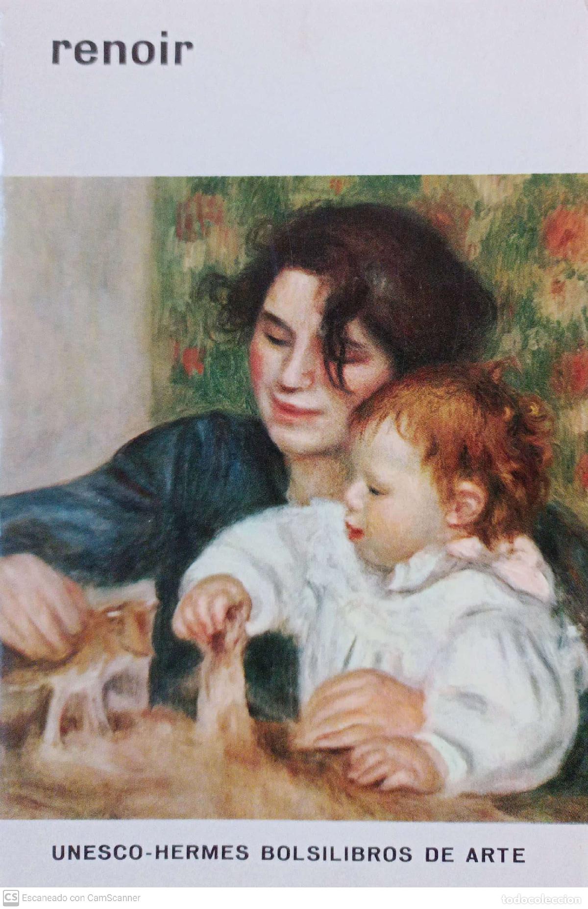 Libros: Renoir - Michael drucker - Foto 1