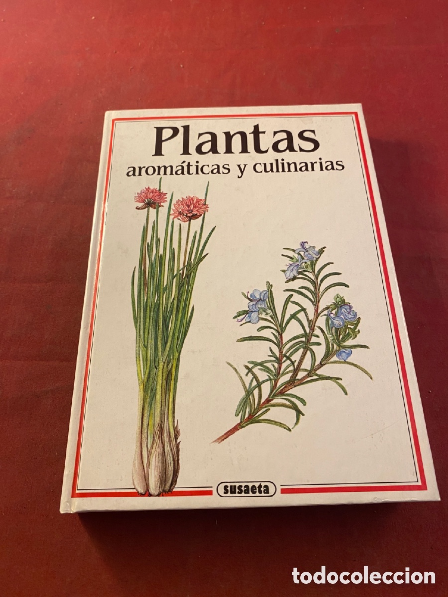 Libros: Plantas arom&aacute;ticas y culinarias - Foto 1