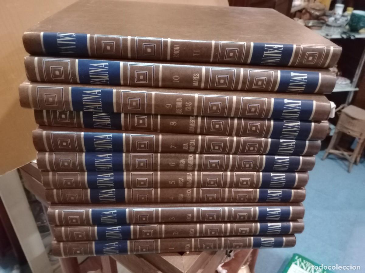 Libros: enciclopedia la fauna - Foto 1