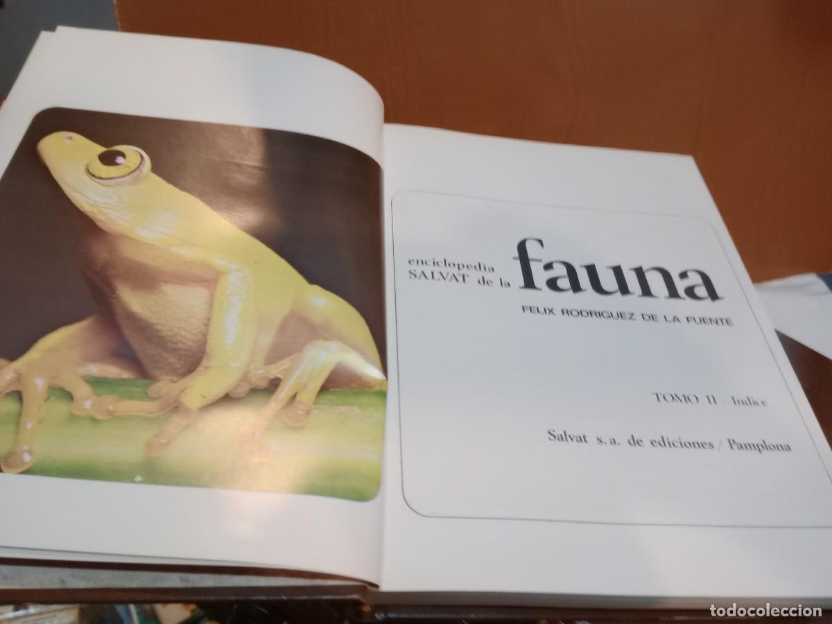 Libros: enciclopedia la fauna - Foto 2