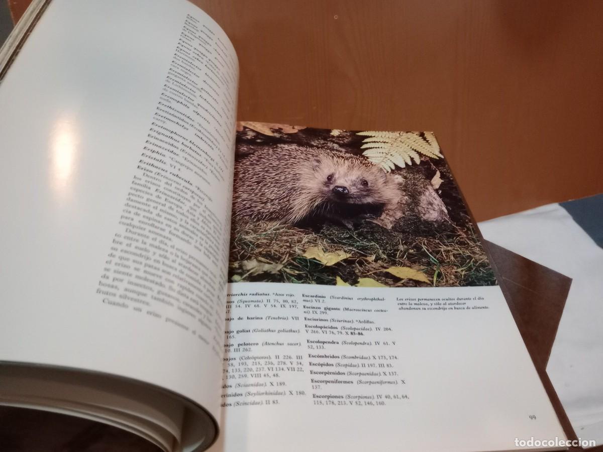 Libros: enciclopedia la fauna - Foto 3