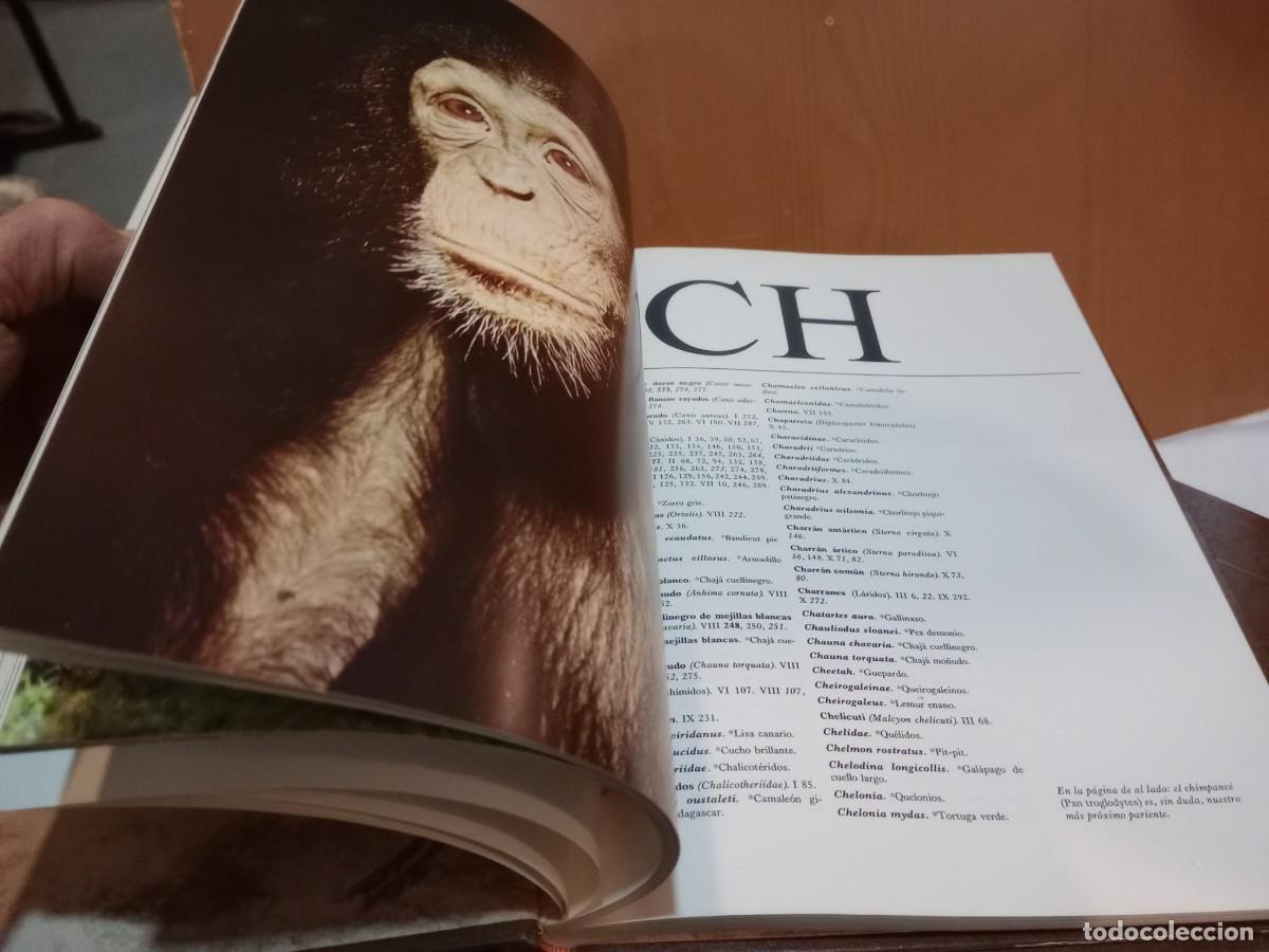 Libros: enciclopedia la fauna - Foto 4