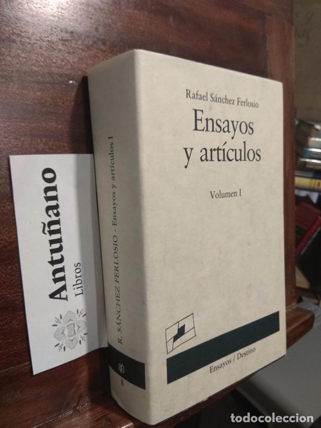 Libros: Ensayos y art&iacute;culos Volumen I - Foto 1