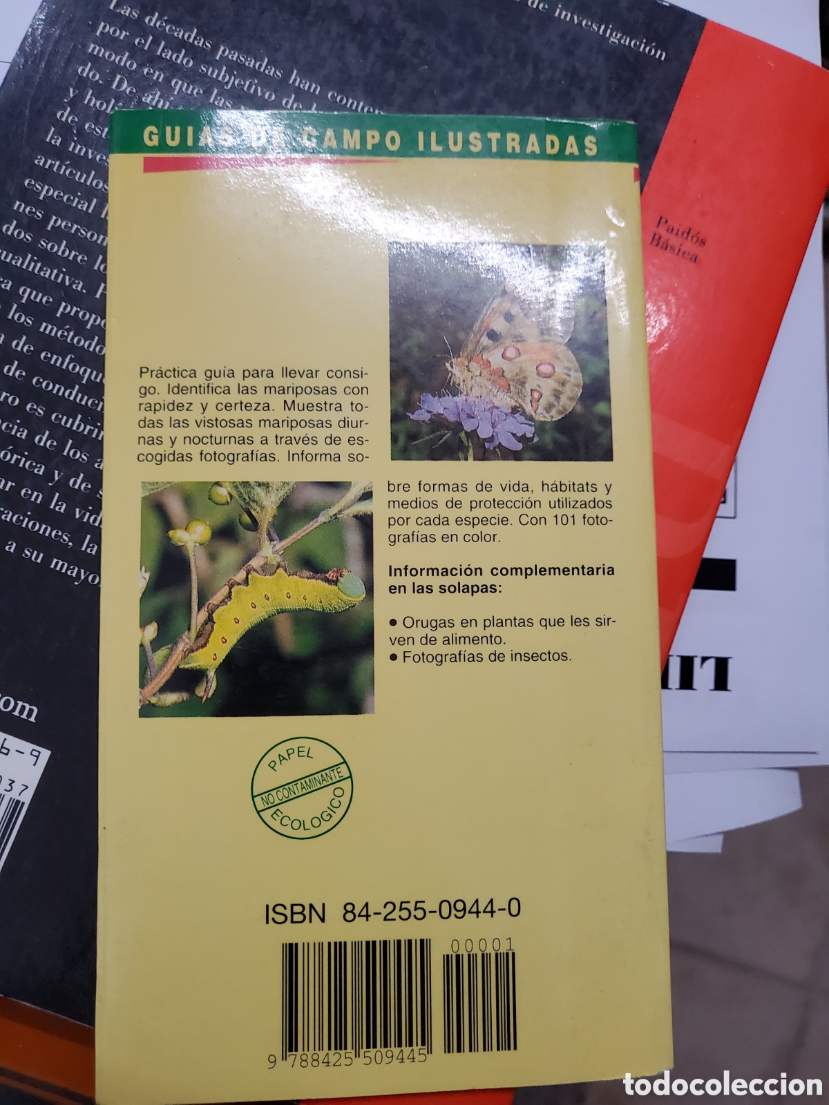 Libros: Mariposas. Diurnas y Nocturnas - Zepf-Gerstmeier - Foto 2