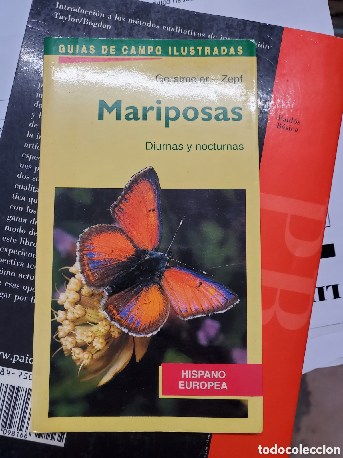Libros: Mariposas. Diurnas y Nocturnas - Zepf-Gerstmeier - Foto 1