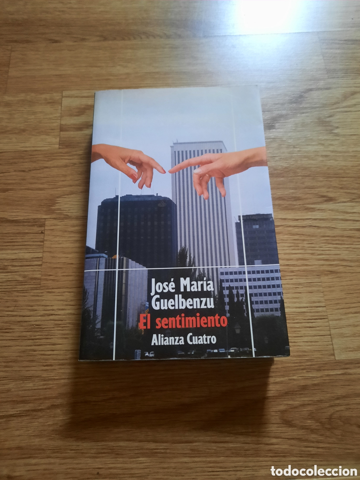 Libros: El sentimiento - Foto 1