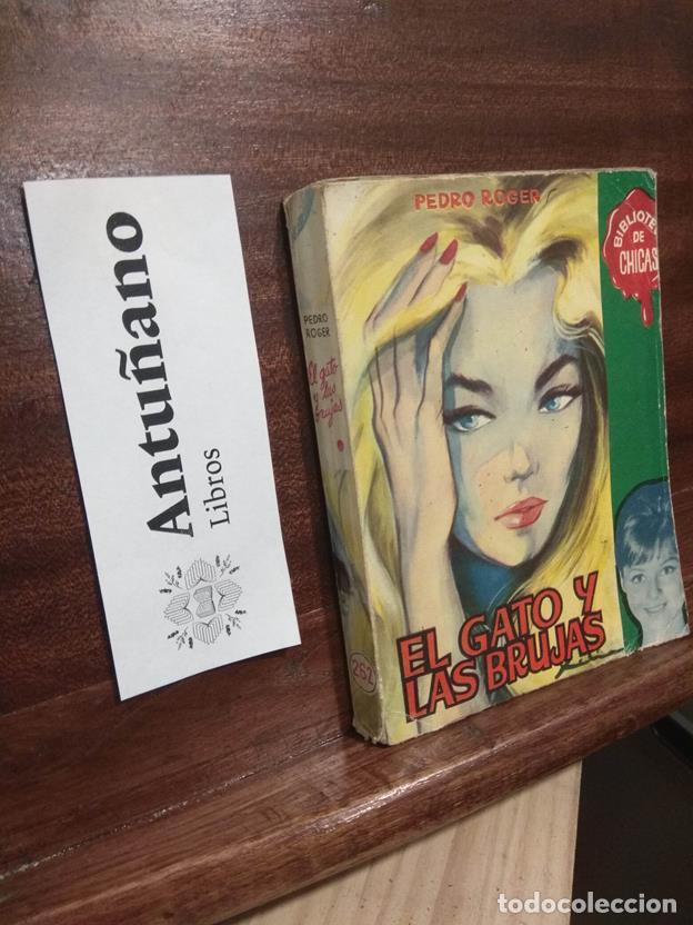 Libros: El gato y las brujas - Foto 1