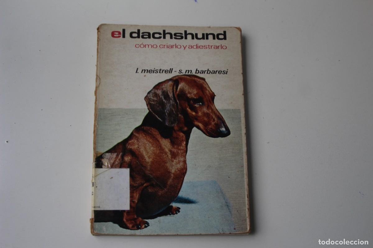 Libri di seconda mano: EL DACHSHUND COMO CRIARLO Y ADIESTRARLO