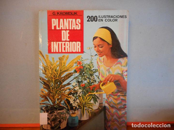 B&uuml;cher: LIBRO.PLANTAS DE INTERIOR.G.KROMDIJK.200 ILUSTRACIONES EN COLOR.PESO-508G.
