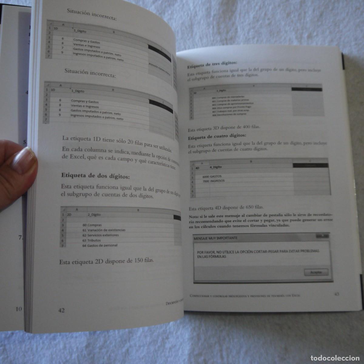 Libros: CONFECCIONAR Y CONTROLAR PRESUPUESTOS Y PREVISIONES DE TESORER&Iacute;A CON EXCEL - LUIS MU&Ntilde;IZ - 2011 - Foto 11