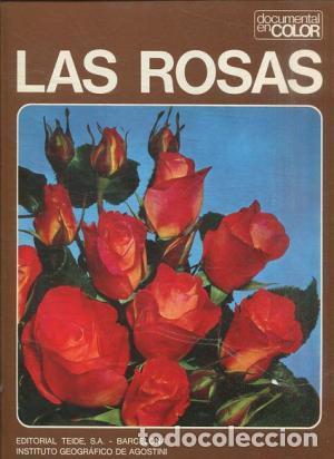 Libros: Las Rosas - Claudia BINELLI - Foto 1