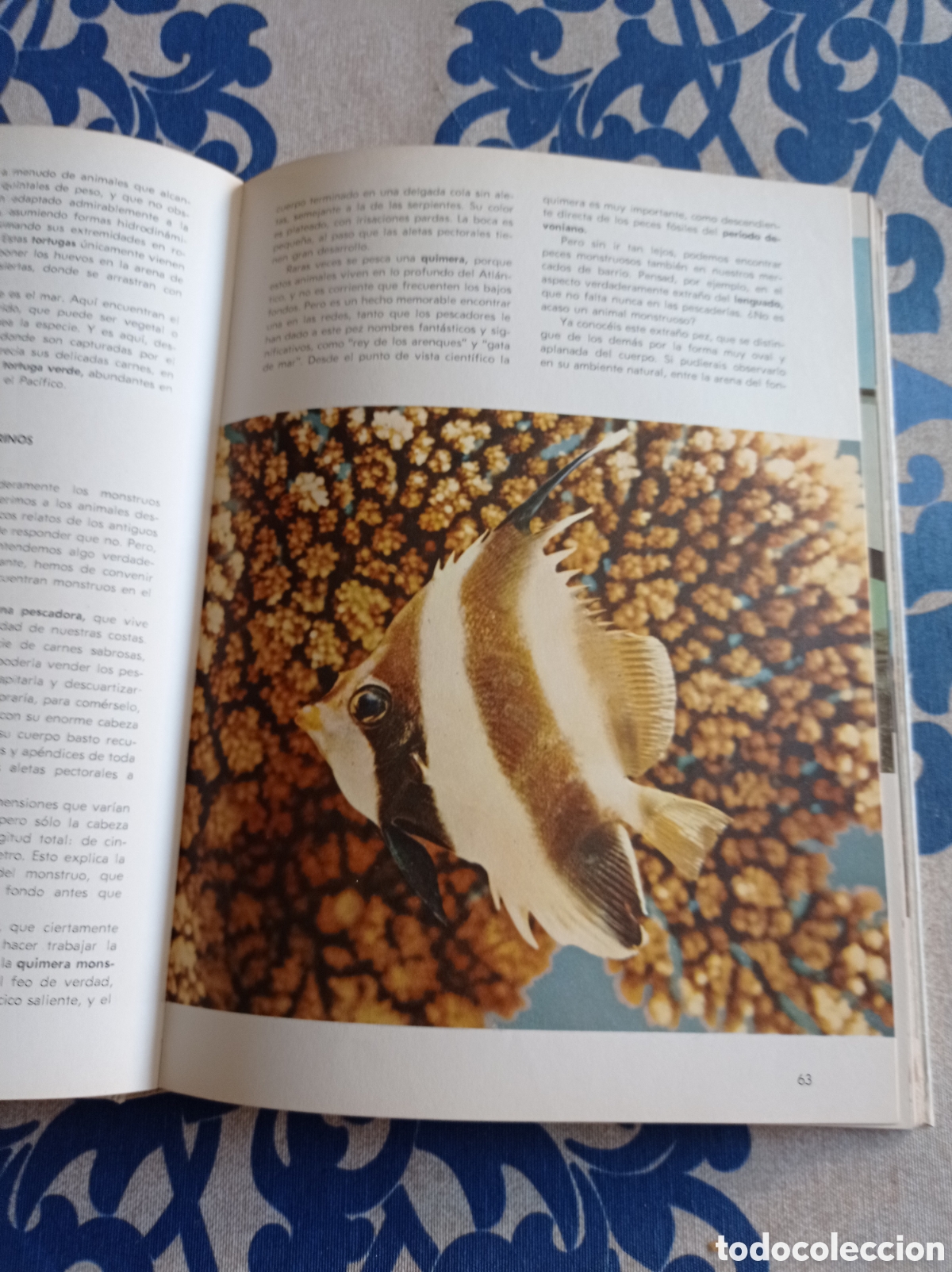 Libros: Vida secreta de los animales ,Walt Disney. - Foto 3