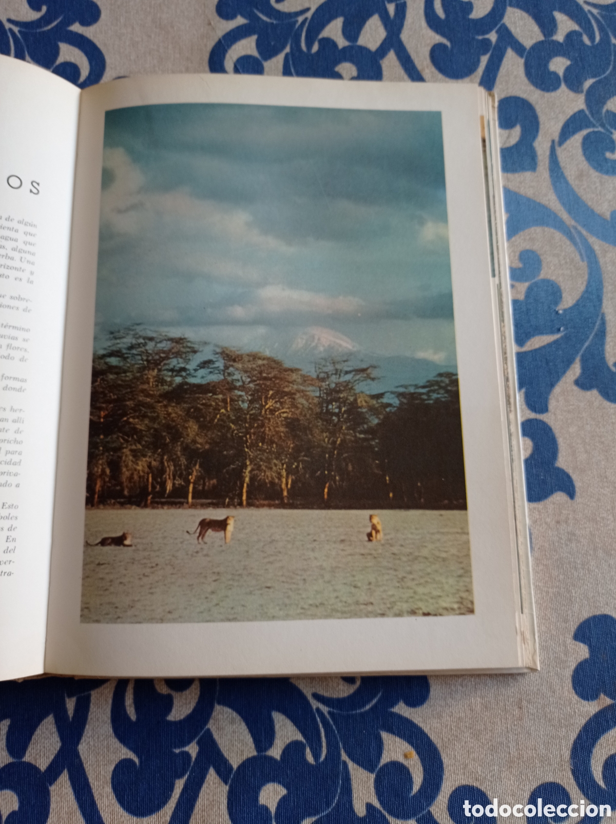 Libros: Vida secreta de los animales ,Walt Disney. - Foto 4