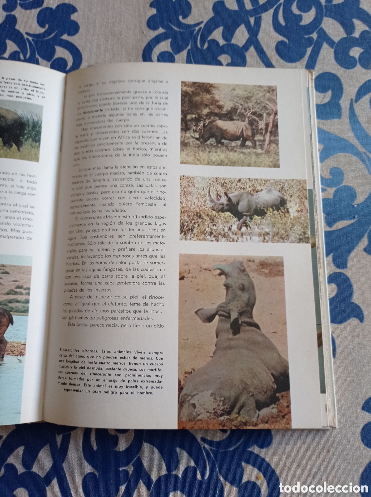 Libros: Vida secreta de los animales ,Walt Disney. - Foto 5