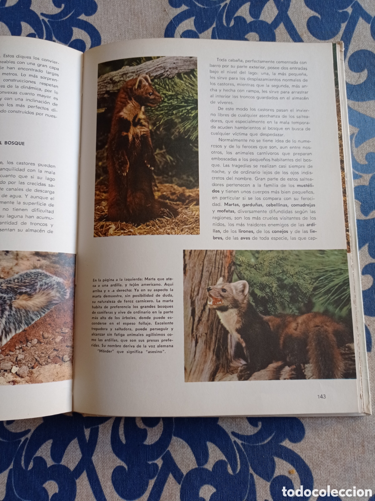 Libros: Vida secreta de los animales ,Walt Disney. - Foto 6