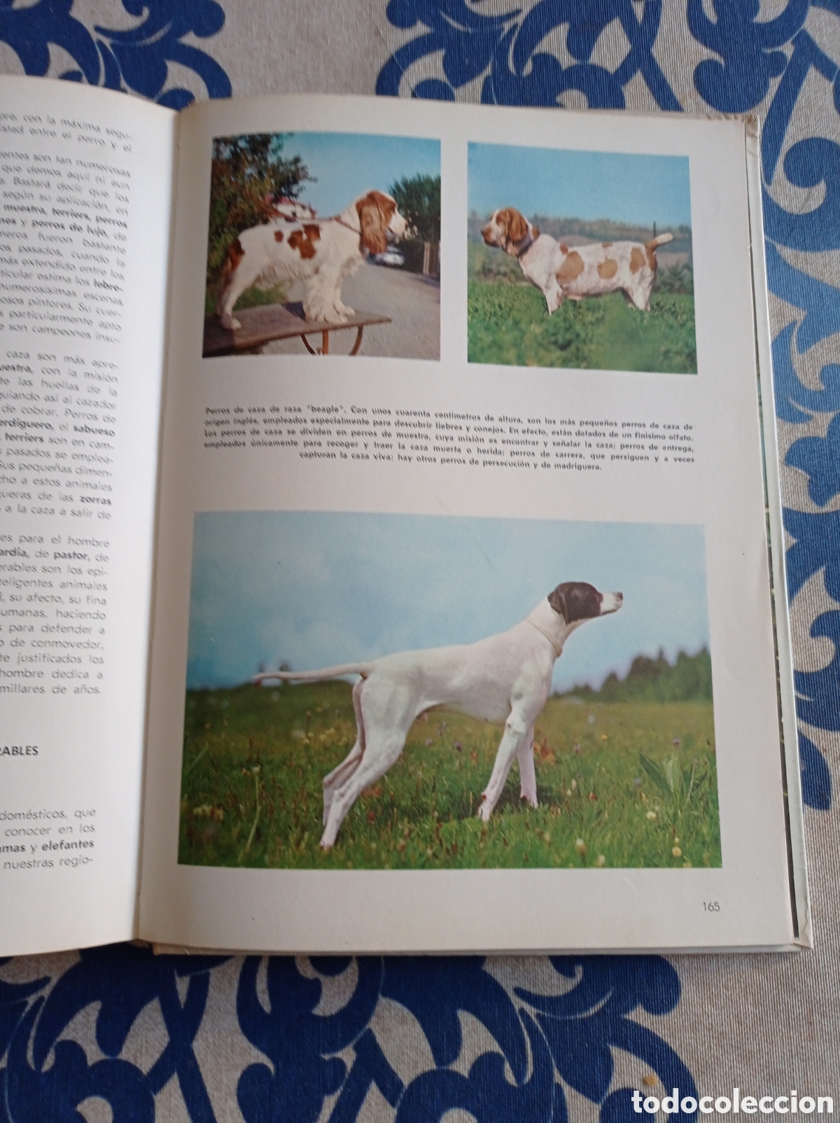Libros: Vida secreta de los animales ,Walt Disney. - Foto 7