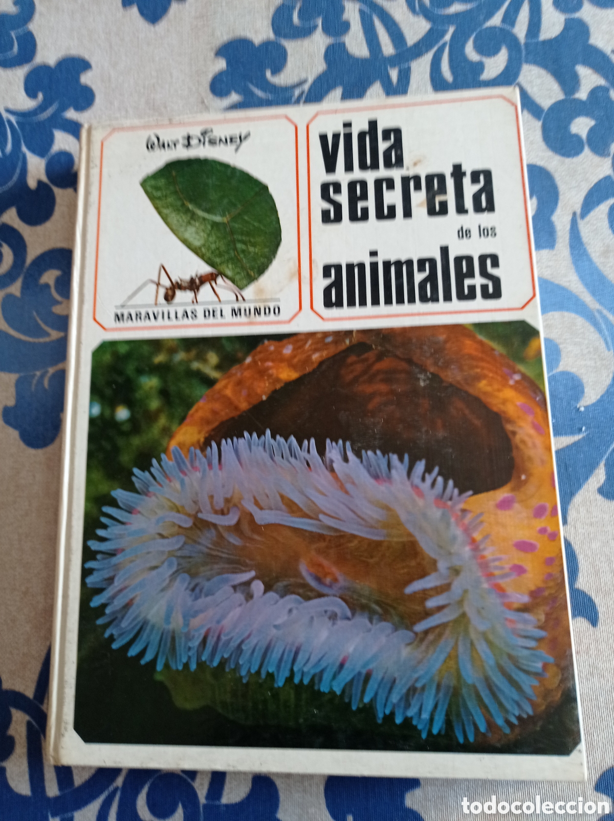Libros: Vida secreta de los animales ,Walt Disney. - Foto 1