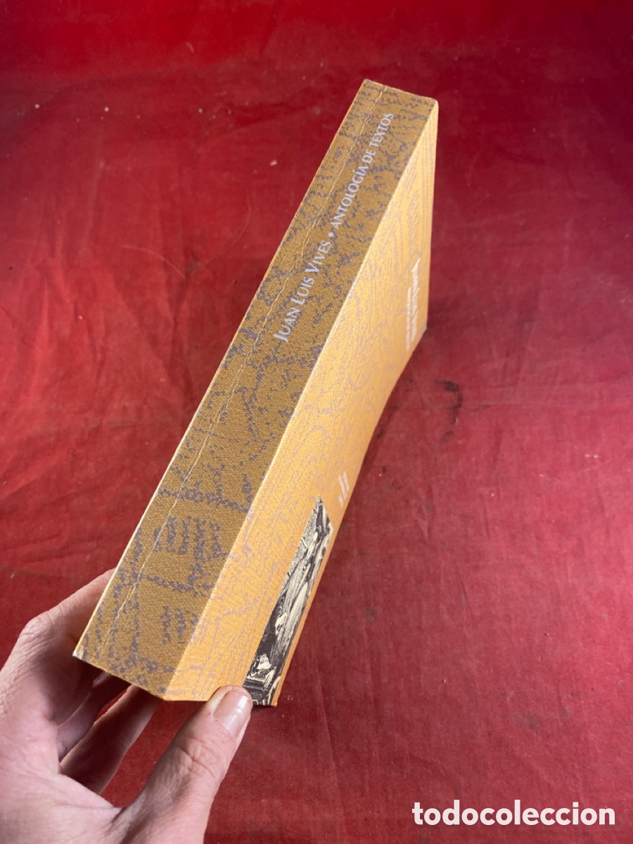 Libros: JUAN LUIS VIVES ANTOLOG&Iacute;A DE TEXTOS - Foto 2