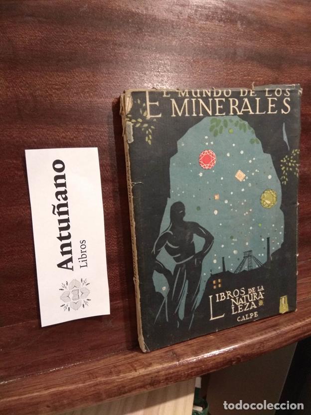Libros: El mundo de los minerales - Foto 1