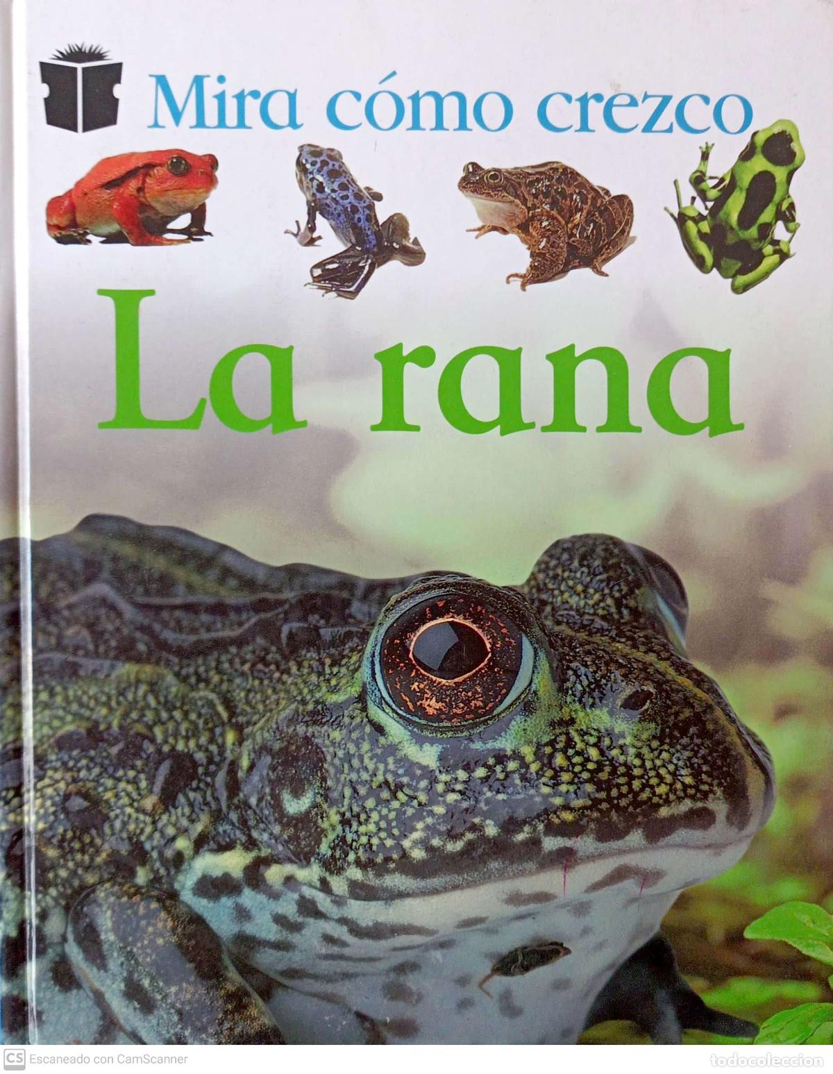 Libros: Mira como crezco: La rana - Foto 1