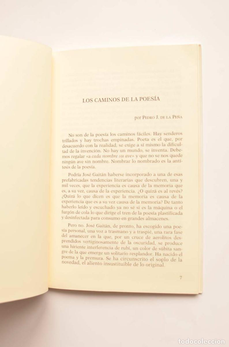 Libros: De nacimientos y premuras - GAIT&Aacute;N, Jos&eacute; - Foto 3