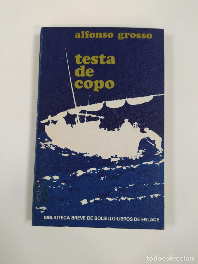 Libros: Testa de copo. - Alfonso Grosso. TDK747 - Foto 1