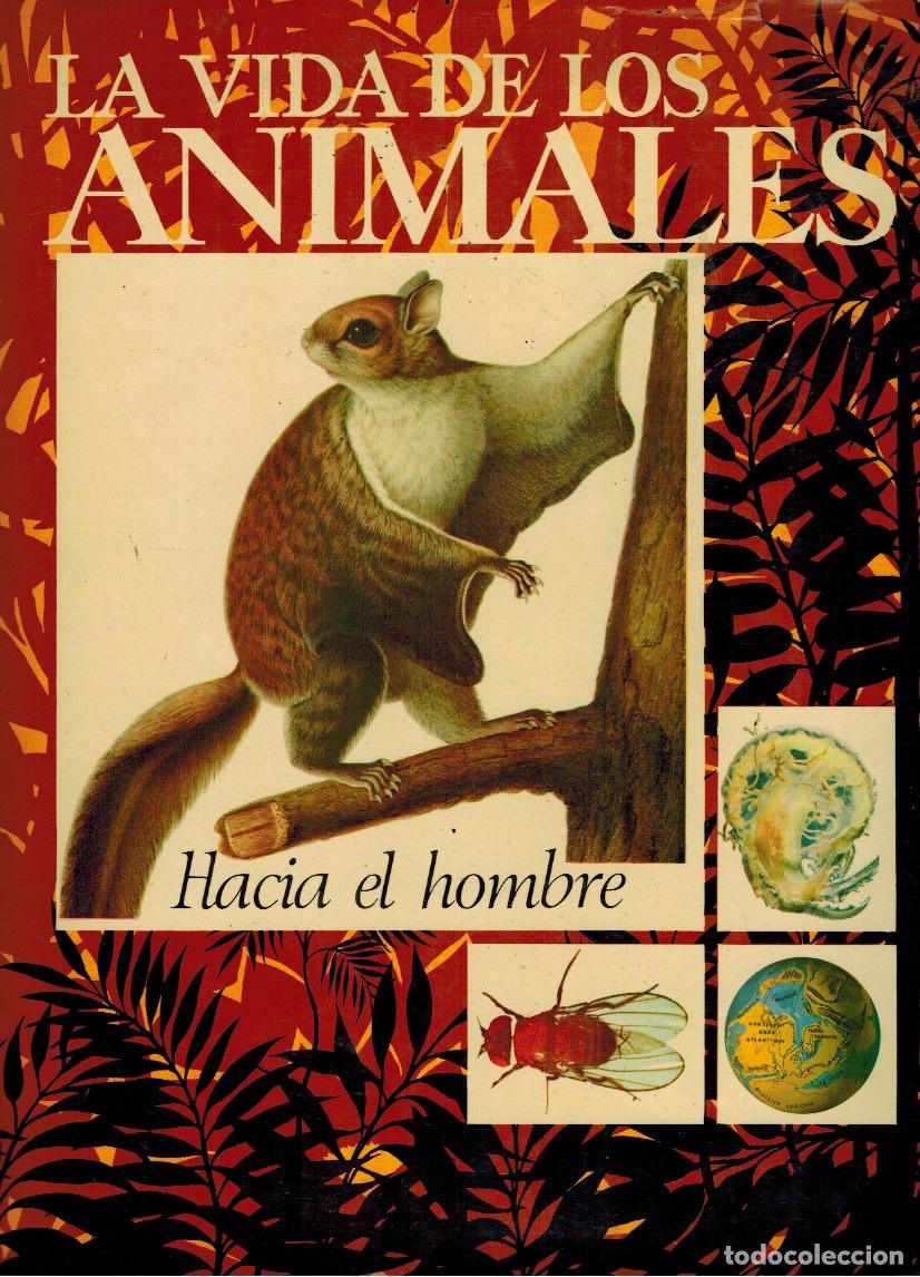 Libros: LA VIDA DE LOS ANIMALES (3 TOMOS) - Foto 1
