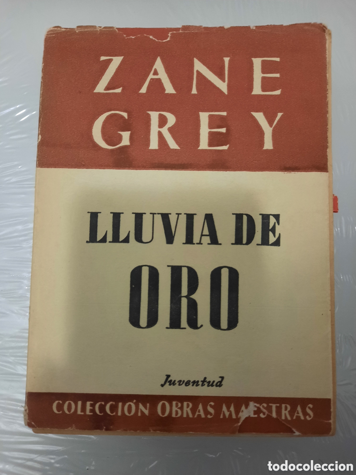 Libros: Lluvia de oro - Foto 1