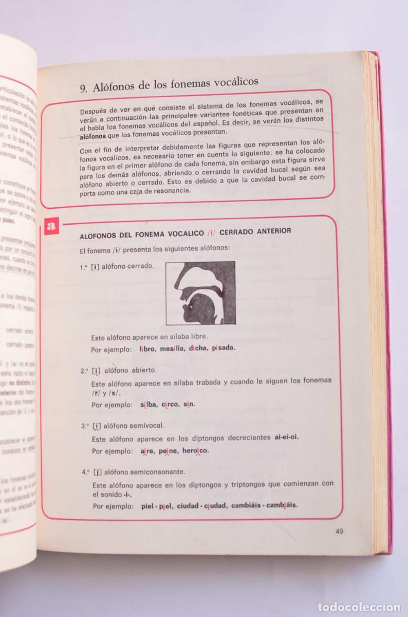Libros: Norma 8. Lenguaje. Libro de consulta - AUTORES VARIOS - Foto 4