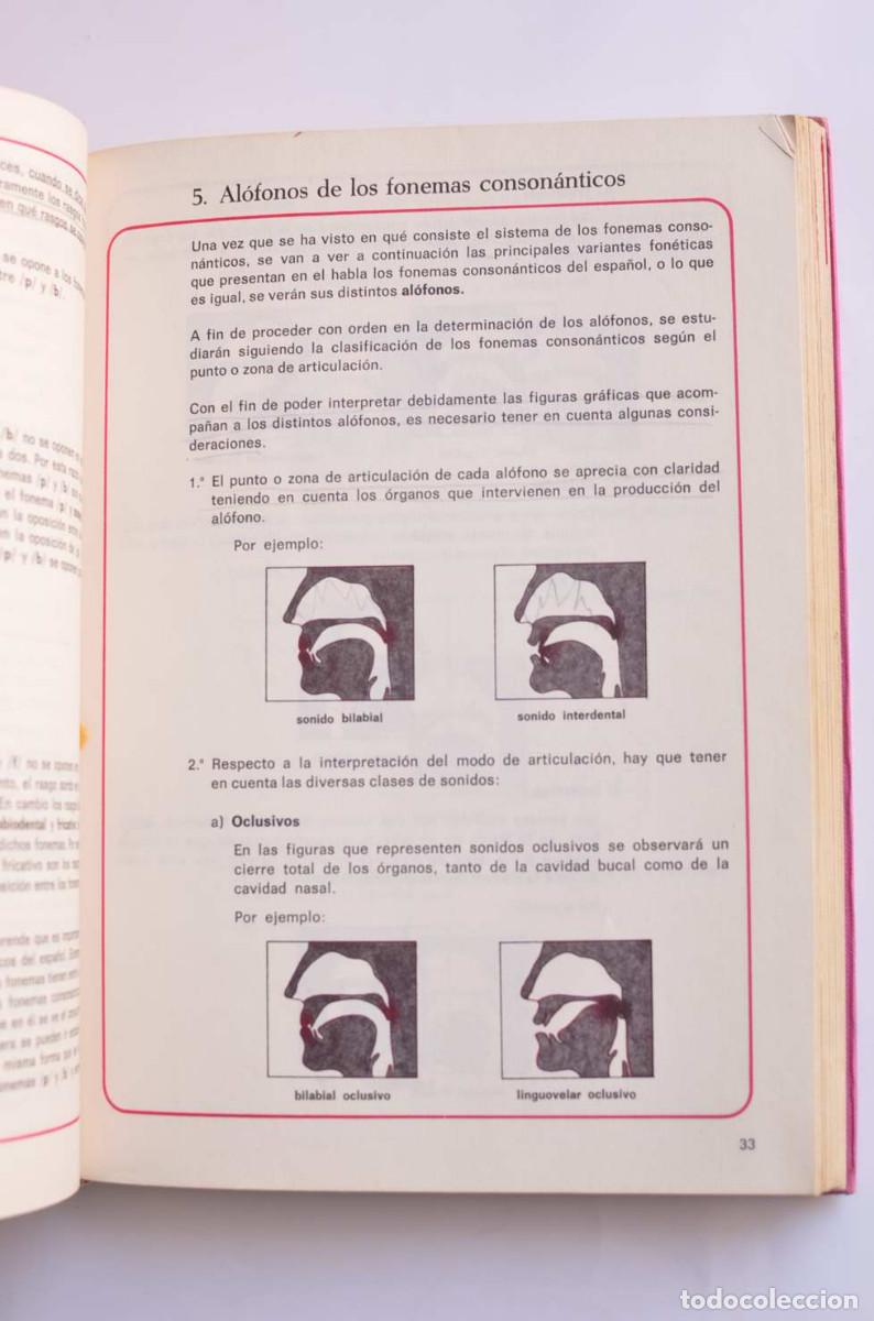 Libros: Norma 8. Lenguaje. Libro de consulta - AUTORES VARIOS - Foto 5
