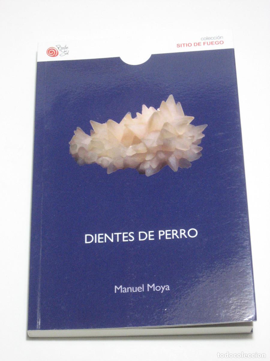 Libros: DIENTES DE PERRO - Manuel Moya - Foto 1