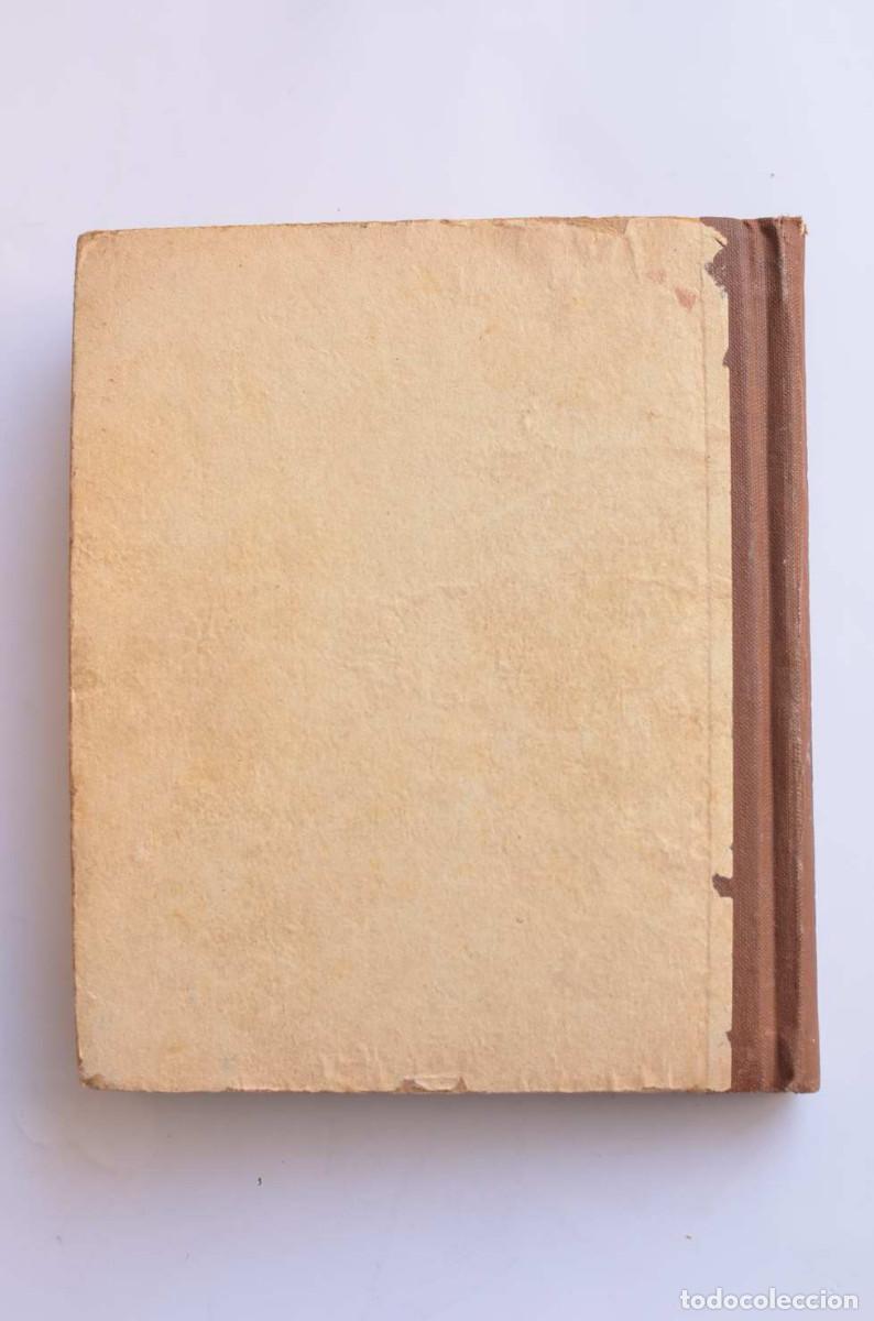 Libros: Cuchifrit&iacute;n y Paquito - FORT&Uacute;N, Elena - Foto 6