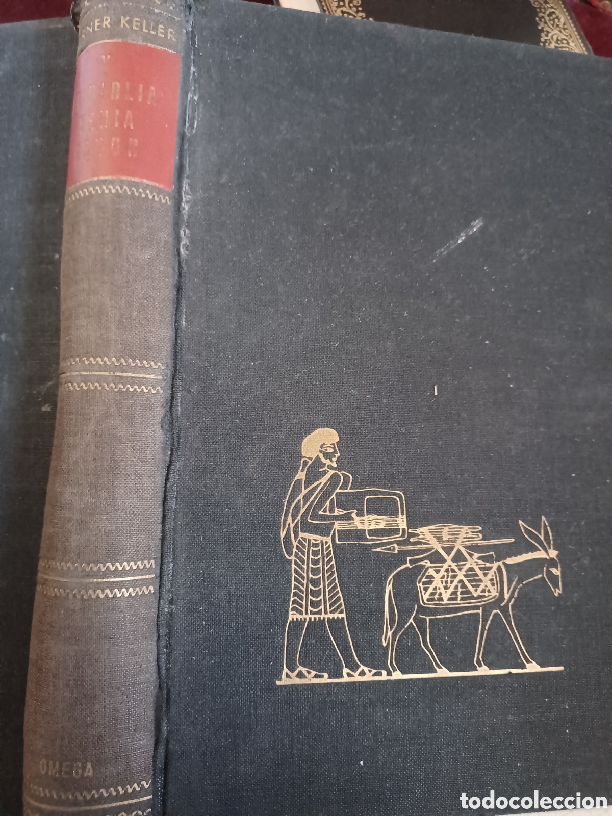 Libros: Barybook C32 Y la Biblia ten&iacute;a raz&oacute;n Werner Keller - Foto 2