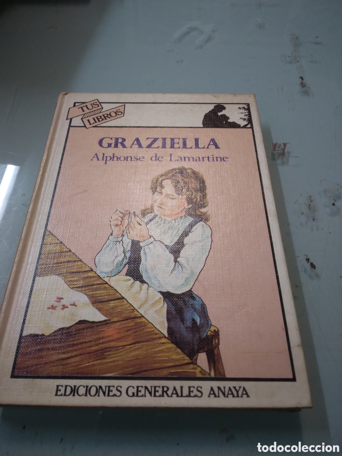 Libros: Alphonse de Lamartine, Graciela,Anaya - Foto 1