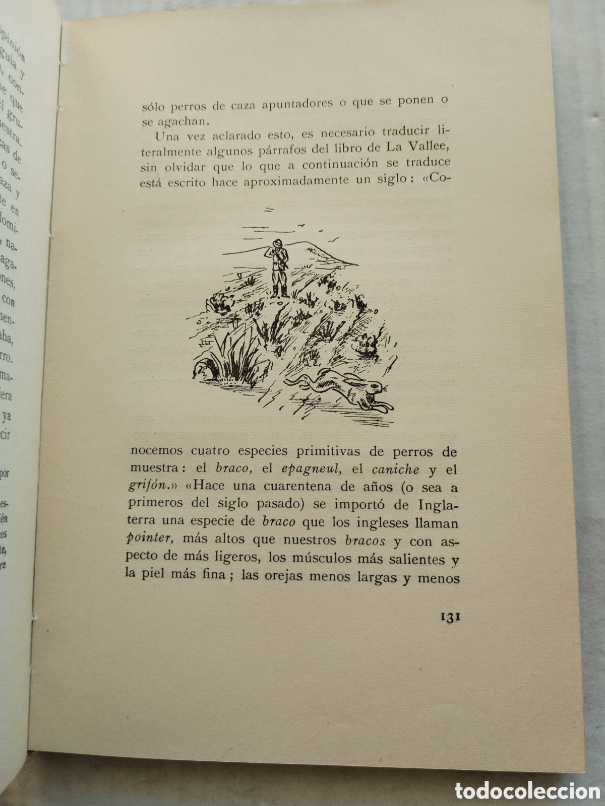 Libros: PERROS Y CAZADORES/DR. MU&Ntilde;OZ SECA - Foto 4
