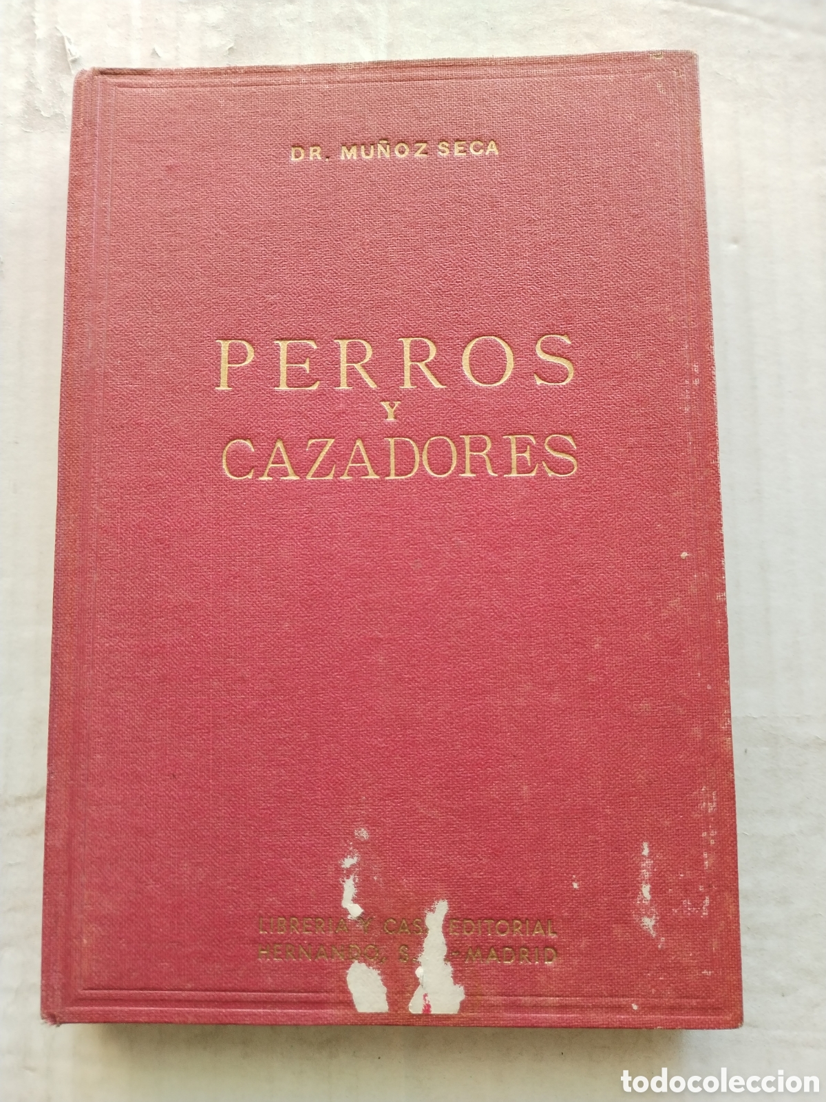 Libros: PERROS Y CAZADORES/DR. MU&Ntilde;OZ SECA - Foto 1