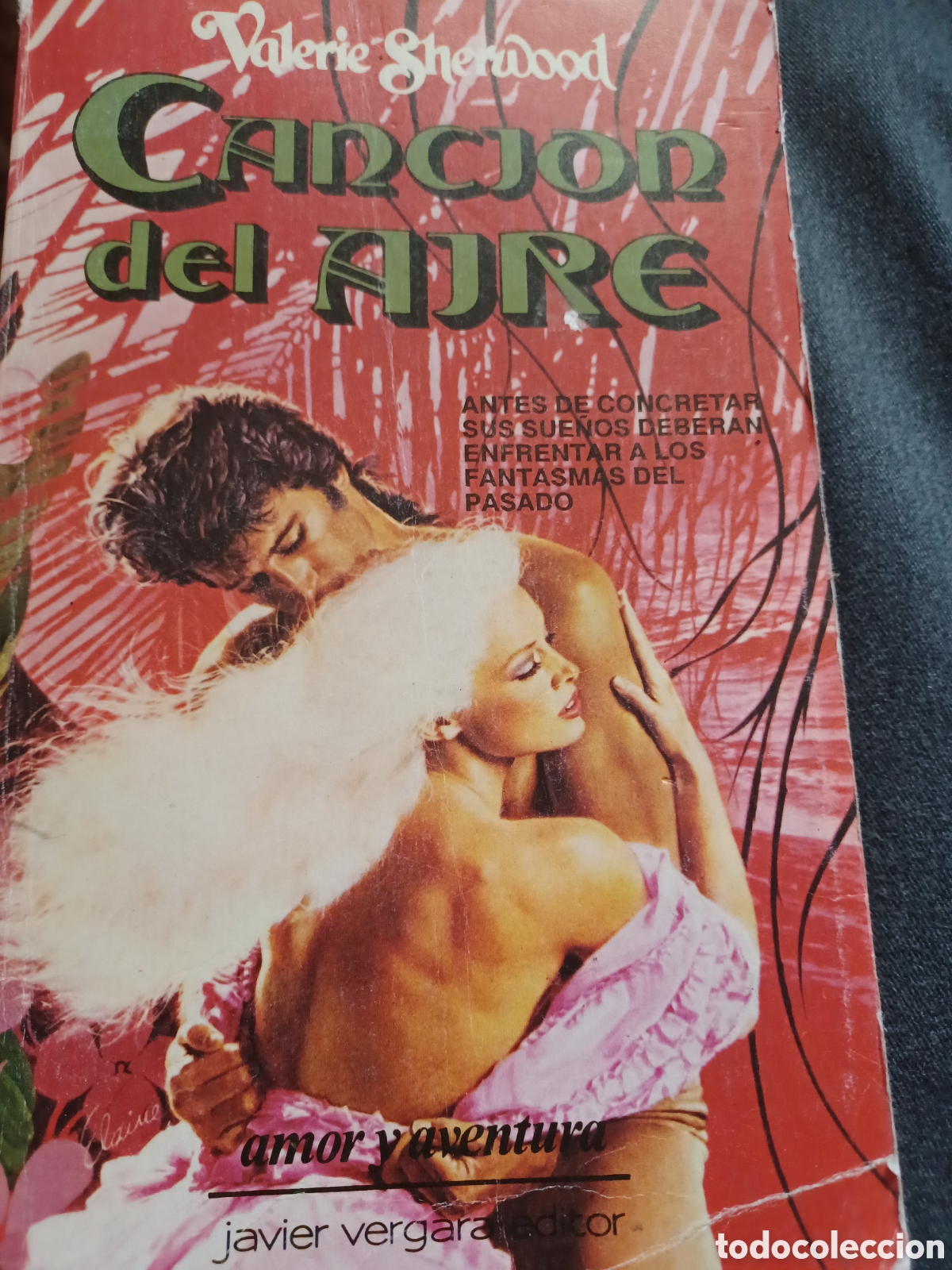 Livres: Barybook 210 Canci&oacute;n del aire valerie sheruwood