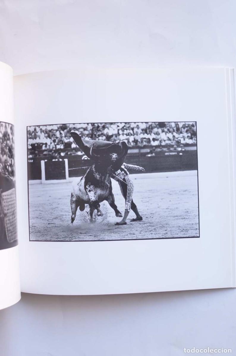 Libros: El c&iacute;rculo solar - BUJEDO AGUIRRE, &Iacute;&ntilde;igo - Foto 3