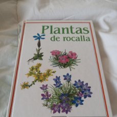 Libros: PLANTAS DE ROCALL ED.SUSAETA 1994 VLASTA VODICKOVA