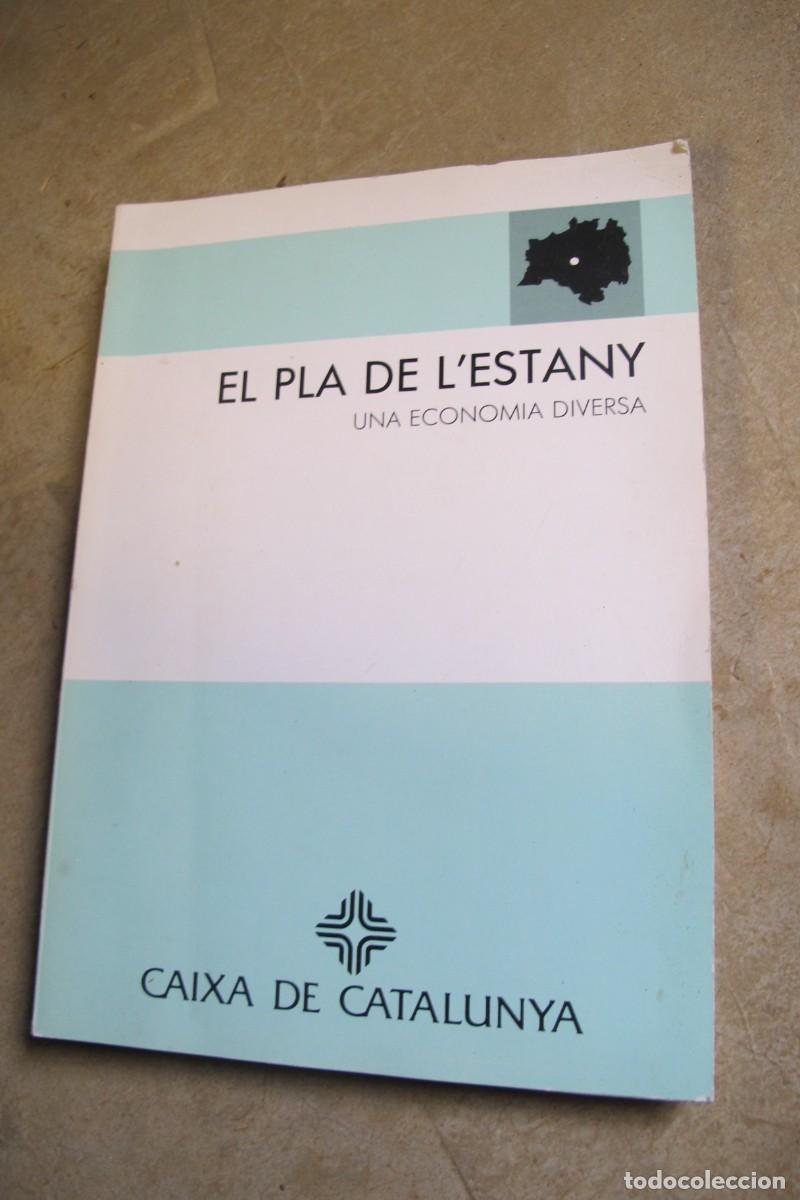 Livros em segunda m&atilde;o: EL PLA DE L'ESTANY UNA ECONOMIA DIVERSA. PERE RIERA I MICALO, ANNA ROCA I TORRENT. 1992